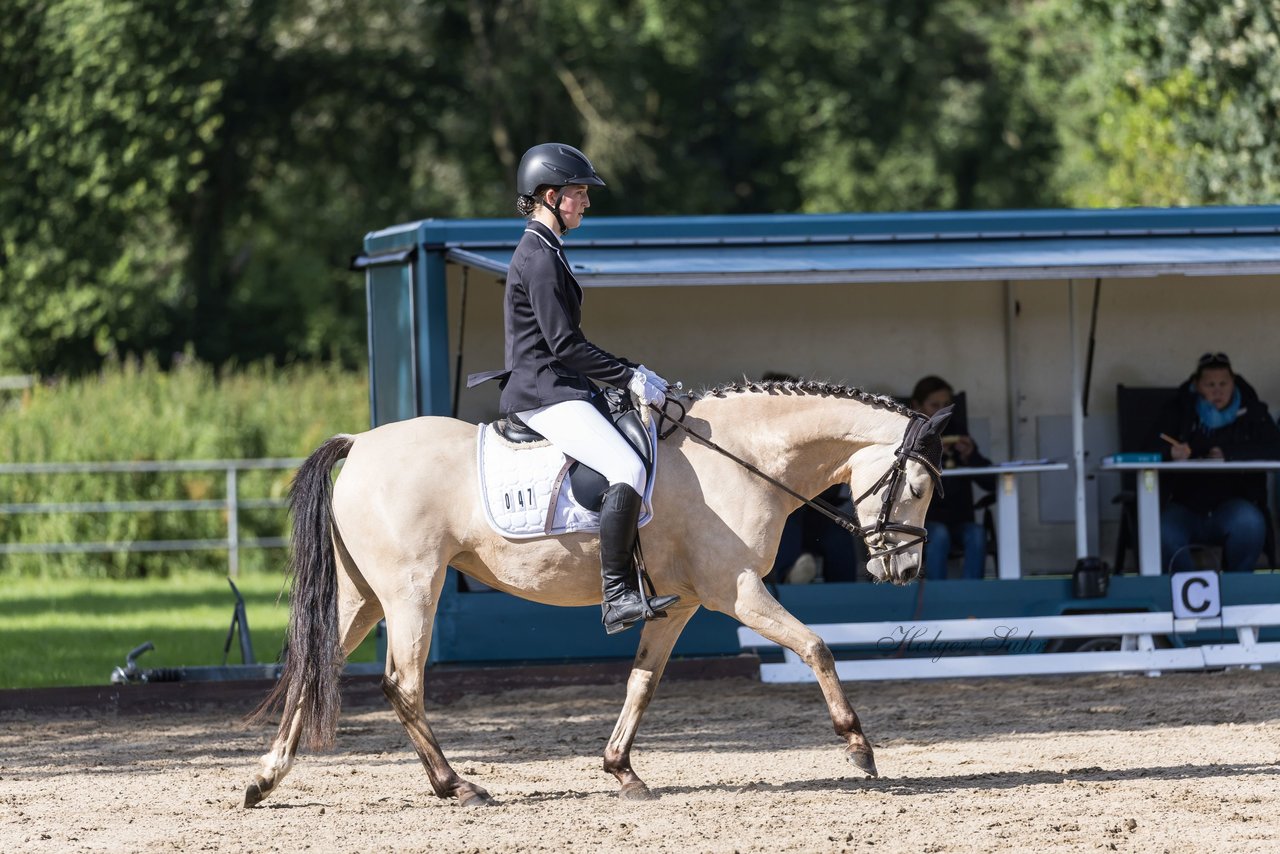 Bild 615 - Pony Akademie Turnier